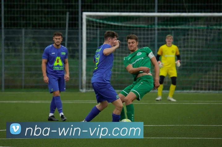 nba线上投注平台生态图